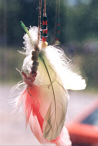 Photo of Dream Catcher